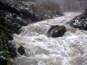 Nach einem Aprilgewitter hat sich der Stanciu-Bach in ein reissendes Wildwasser vewandelt